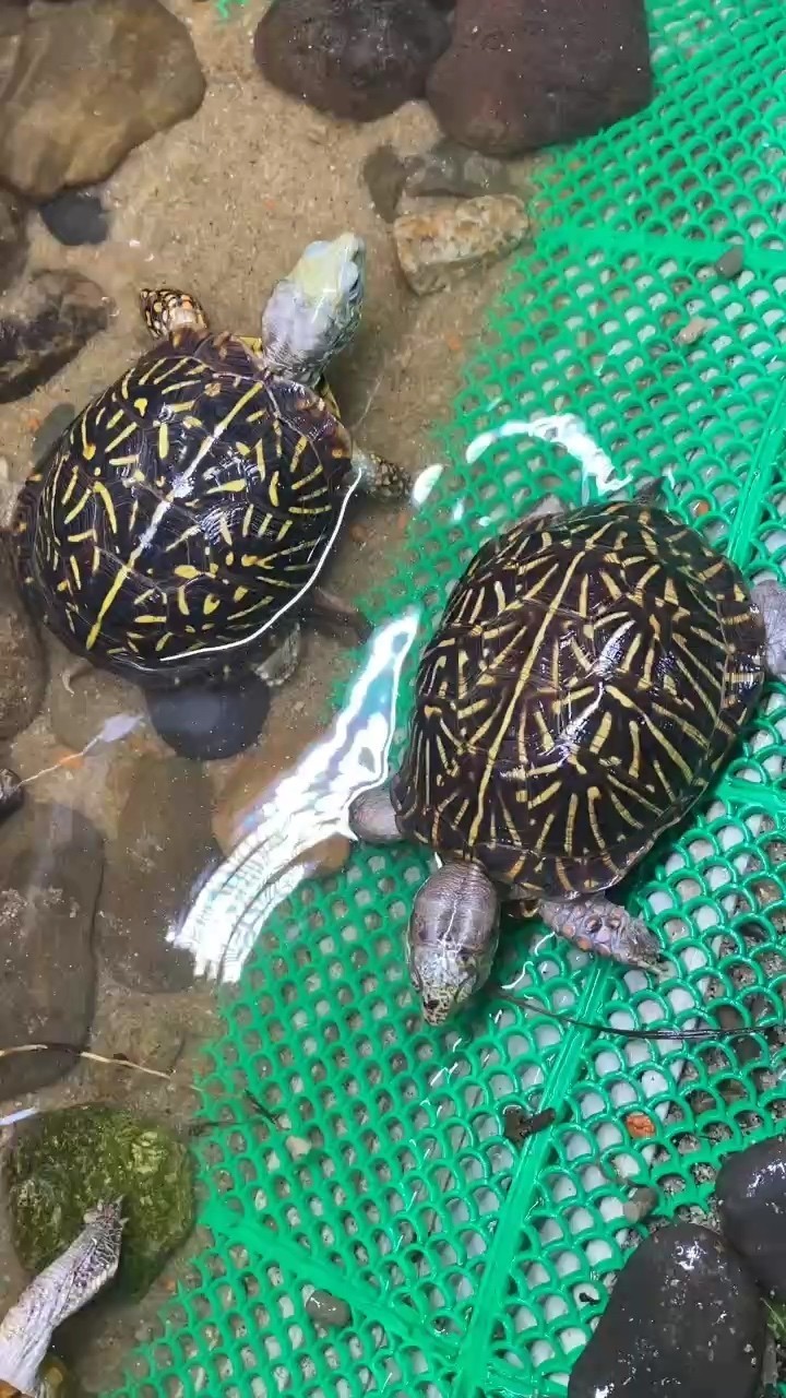 ??成熟全品公