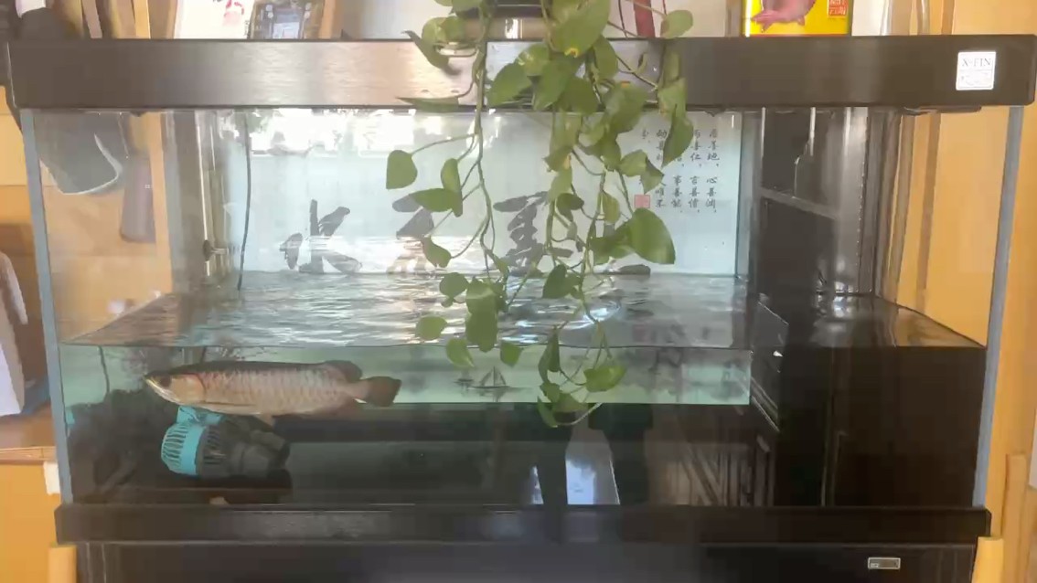 狠人