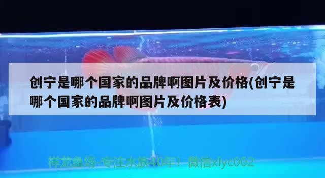 創寧是哪個國家的品牌啊圖片及價格(創寧是哪個國家的品牌啊圖片及價格表)