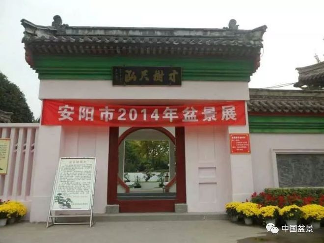安陽龍魚vs祥龍魚場（安陽龍魚批發市場）
