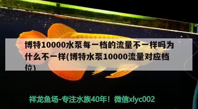 博特10000水泵每一檔的流量不一樣嗎為什么不一樣(博特水泵10000流量對應(yīng)檔位)