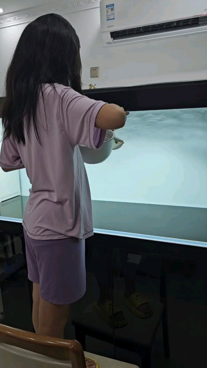 閨女說以后喂魚的工作就交給她了