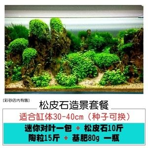 1.2米魚缸造景圖片大全青龍石：1.2米魚缸造景中使用青龍石的信息