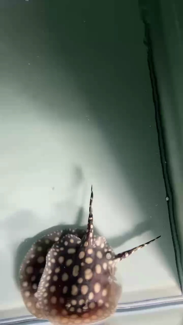 換換水