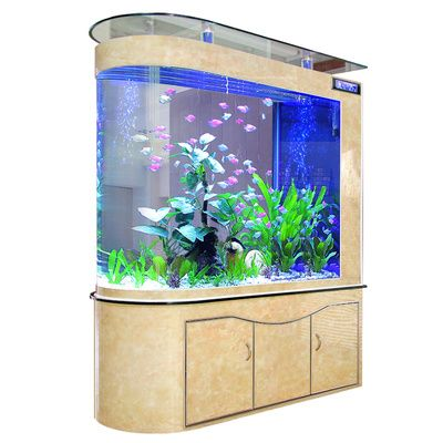 1.2米子彈頭魚缸裝多少升水：1.2米子彈頭魚缸應該裝介于280升到320升到320升水之間