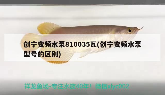 創寧變頻水泵810035瓦(創寧變頻水泵型號的區別)
