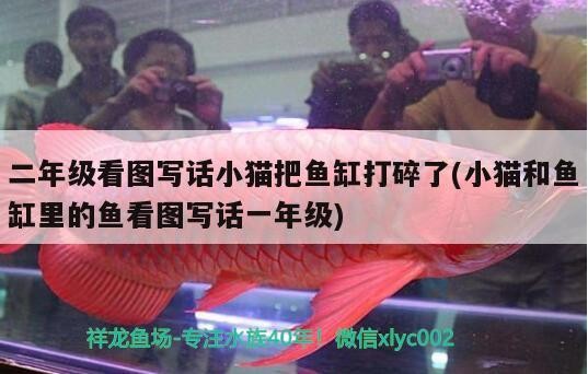 創寧加熱棒質量怎么樣呀多少錢：創寧加熱棒是哪里生產的