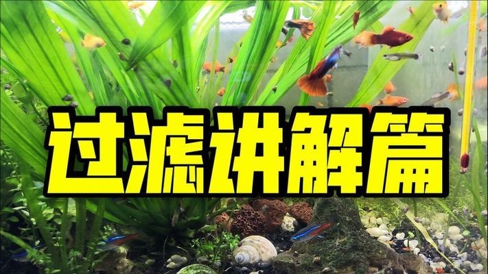 魚(yú)缸過(guò)濾桶價(jià)格表圖片大全（魚(yú)缸過(guò)濾桶價(jià)格表圖片大全集）