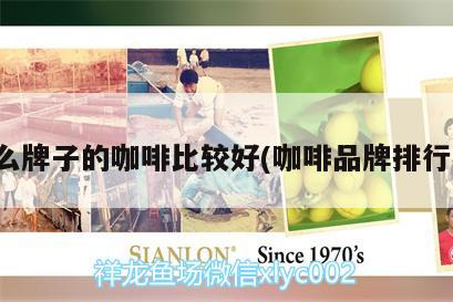 什么牌子的咖啡比較好(咖啡品牌排行榜)