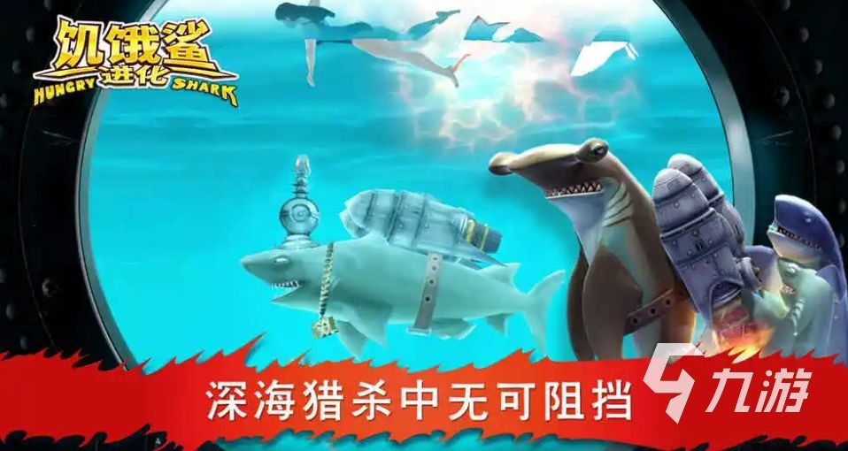 藍(lán)寶石鬼王雷龍魚能長多大：鬼王藍(lán)寶石雷龍魚怎么養(yǎng)