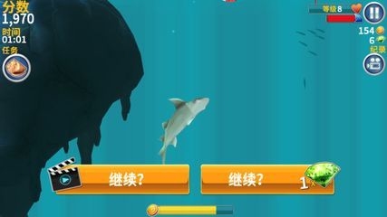 藍(lán)寶石鬼王雷龍魚能長多大：鬼王藍(lán)寶石雷龍魚怎么養(yǎng)