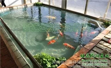打氣筒給魚缸打氧：使用打氣筒給魚缸打氧時(shí)需要了解魚缸增氧的原理和方法