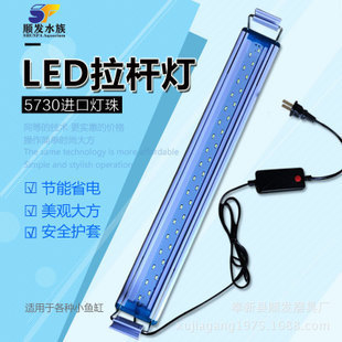 魚缸過濾槽怎么清理污垢