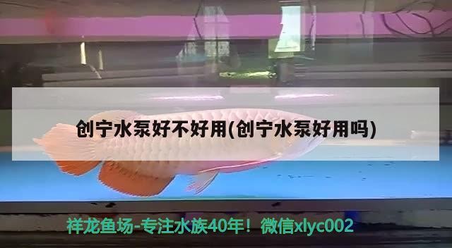 創寧水泵好不好用(創寧水泵好用嗎)