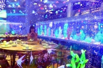 肇慶水族館vs祥龍魚場（探討肇慶水族館與祥龍魚場之前需要明確兩者之間的區別）