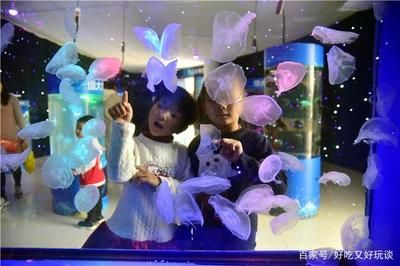 肇慶水族館vs祥龍魚場（探討肇慶水族館與祥龍魚場之前需要明確兩者之間的區別）