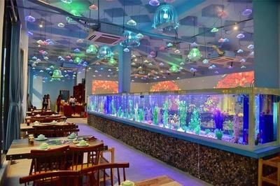 肇慶水族館vs祥龍魚場（探討肇慶水族館與祥龍魚場之前需要明確兩者之間的區別）