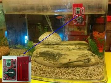 博特水族箱水位怎么調(diào)：博特水族箱怎么調(diào)整水位