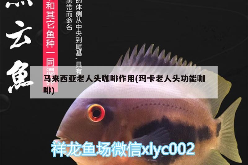 魚缸用增氧泵價格是多少:魚缸增氧機-xtrac增氧機-xtrac增氧機 馬來西亞老人頭咖啡作用(瑪卡老人頭功能咖啡) 馬來西亞咖啡 馬來西亞老人頭咖啡作用(瑪卡老人頭功能咖啡) 馬來西亞老人頭咖啡作用(瑪卡老人頭功能咖啡) 馬來西亞咖啡