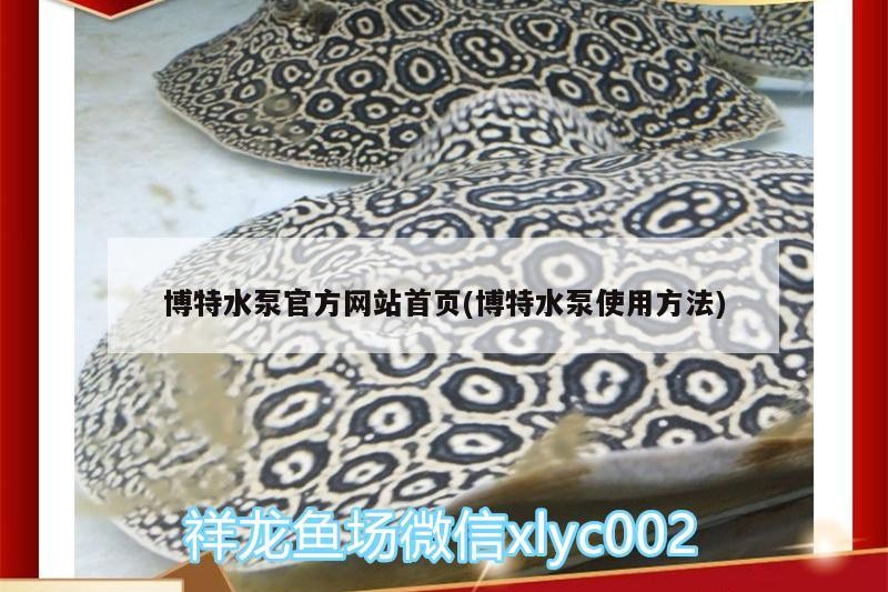 博特水泵官方網(wǎng)站首頁(yè)(博特水泵使用方法)