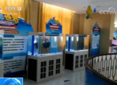 8mm玻璃能做魚缸多深：8mm厚的玻璃做魚缸用什么玻璃做魚缸用什么玻璃好