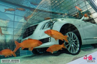 8mm玻璃能做魚缸多深：8mm厚的玻璃做魚缸用什么玻璃做魚缸用什么玻璃好