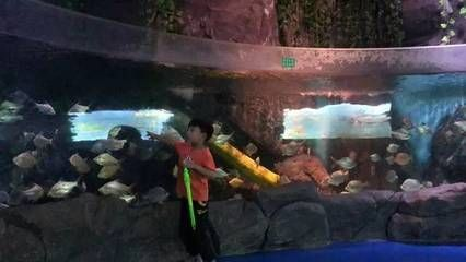 銅仁水族館vs祥龍魚場（貴州銅仁水族館和祥龍魚場在性質和目標上有所不同）