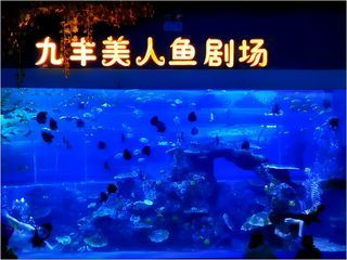 銅仁水族館vs祥龍魚場（貴州銅仁水族館和祥龍魚場在性質和目標上有所不同）