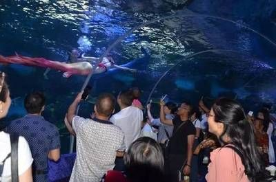 銅仁水族館vs祥龍魚場（貴州銅仁水族館和祥龍魚場在性質和目標上有所不同）
