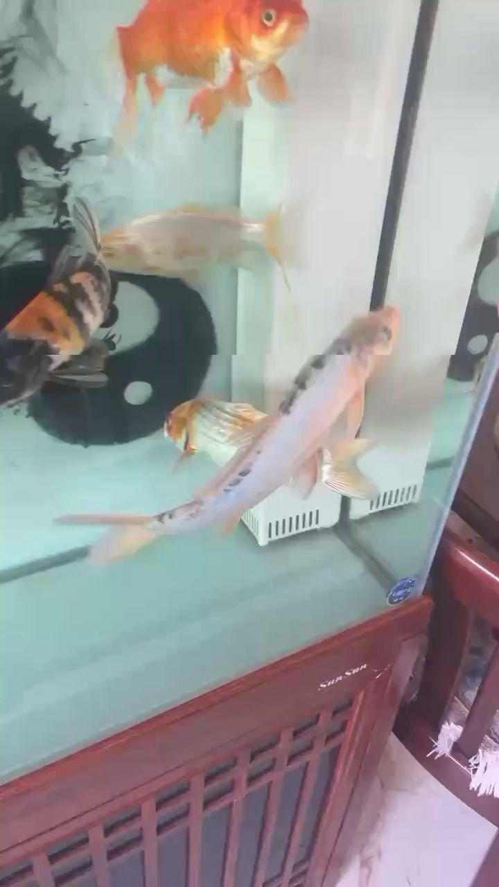 潼關縣海洋漁具店
