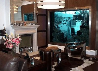 多邊形魚缸安全嗎：多邊形魚缸安全性和實用性和實用性角度來看，魚缸安全性和實用性