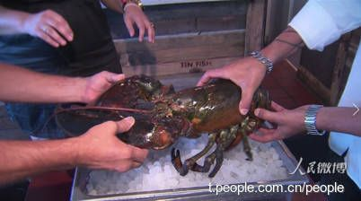 松原水族館vs祥龍魚(yú)場(chǎng)（松原水族館與祥龍魚(yú)場(chǎng)的區(qū)別）