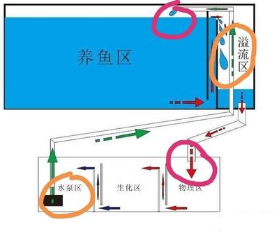 博特拉大學申請成功率（博特拉大學申請條件）