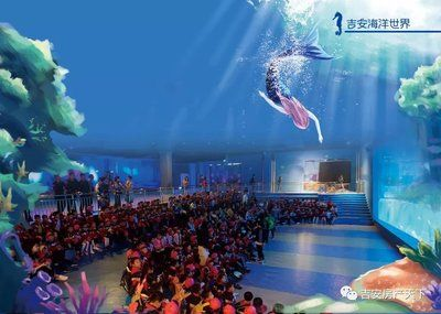 吉安水族館vs祥龍魚場(chǎng)（吉安水族館與祥龍魚場(chǎng)之間的差異之前，我們需要明確基本信息和特點(diǎn)） 吉安水族館vs祥龍魚場(chǎng)（吉安水族館與祥龍魚場(chǎng)之間的差異之前，我們需要明確基本信息和特點(diǎn)） 全國(guó)水族館企業(yè)名錄 第4張