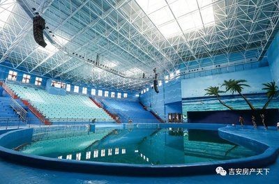 吉安水族館vs祥龍魚場(chǎng)（吉安水族館與祥龍魚場(chǎng)之間的差異之前，我們需要明確基本信息和特點(diǎn)） 吉安水族館vs祥龍魚場(chǎng)（吉安水族館與祥龍魚場(chǎng)之間的差異之前，我們需要明確基本信息和特點(diǎn)） 全國(guó)水族館企業(yè)名錄 第6張