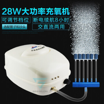 哈爾濱賣觀賞魚的地方有哪些啊