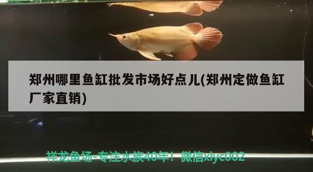 鄭州哪里魚缸批發市場好點兒(鄭州定做魚缸廠家直銷)