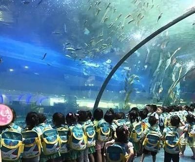 清遠水族館vs祥龍魚場（探討清遠水族館與祥龍魚場之間的差異之前需要明確兩者的基本信息和業務范圍）
