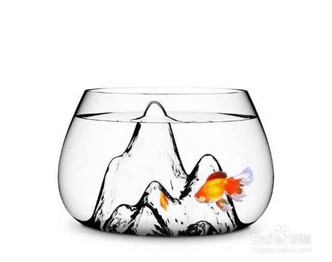 別人家的舊魚缸可以用嗎：別人家的舊魚缸可以用嗎？