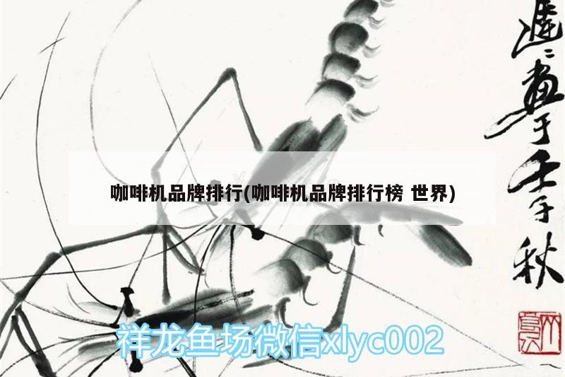 咖啡機品牌排行(咖啡機品牌排行榜世界)