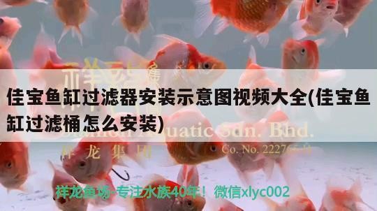 佳寶魚缸過濾器安裝示意圖視頻大全(佳寶魚缸過濾桶怎么安裝)