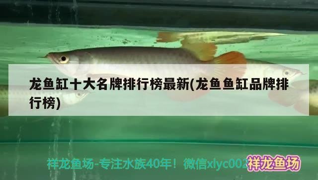 鄭州魚缸批發市場電話號碼查詢（鄭州魚缸批發市場電話號碼查詢地址） 鄭州魚缸批發市場電話號碼查詢（鄭州魚缸批發市場電話號碼查詢地址） 魚缸百科 第1張