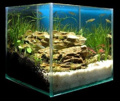 1.8米的魚缸用12厘的玻璃可以嗎視頻：1.8米的魚缸用12厘的玻璃可以嗎