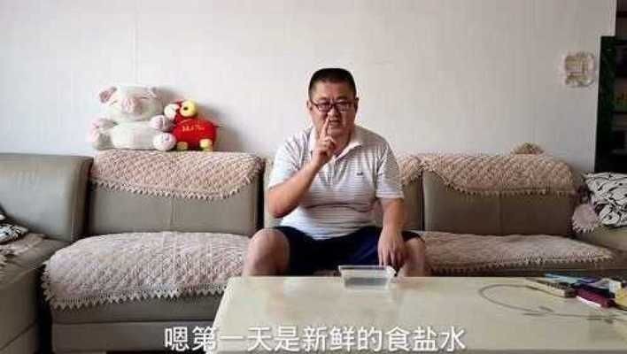 魚缸用增氧泵價格是多少:魚缸增氧機-xtrac增氧機-xtrac增氧機 魟魚拉的白色絮狀是什么 魟魚百科 魟魚拉的白色絮狀是什么 魟魚拉的白色絮狀是什么 魟魚百科