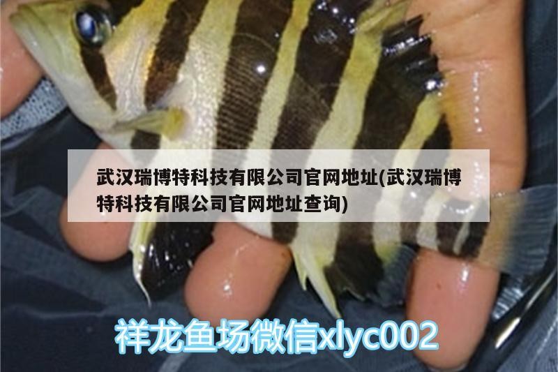 武漢瑞博特科技有限公司官網地址(武漢瑞博特科技有限公司官網地址查詢)