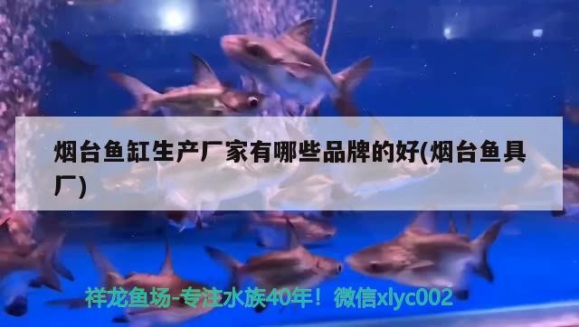 煙臺魚缸生產廠家有哪些品牌的好(煙臺魚具廠)