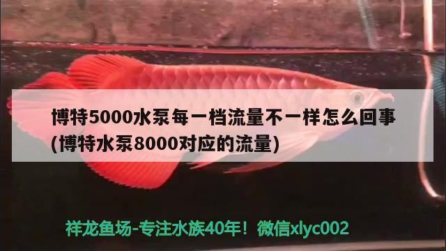 博特5000水泵每一檔流量不一樣怎么回事(博特水泵8000對應的流量)