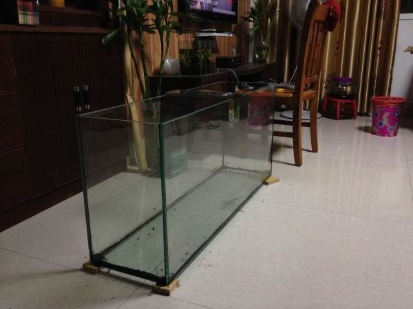 玻璃魚缸專用膠水有毒嗎安全嗎：玻璃魚缸專用膠水在使用時需要注意什么？