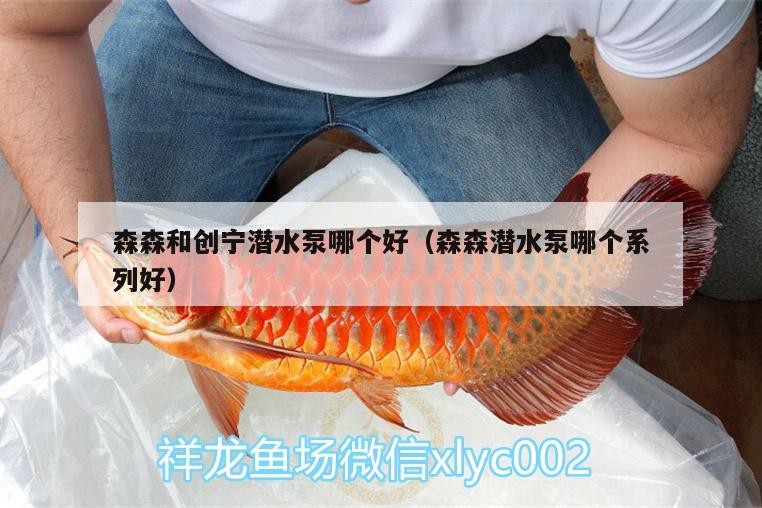 森森和創寧潛水泵哪個好（森森潛水泵哪個系列好）
