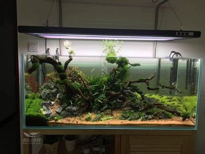 1米2魚缸怎么換水：1米2魚缸怎么換水，1米2魚缸換水的步驟和注意事項(xiàng)